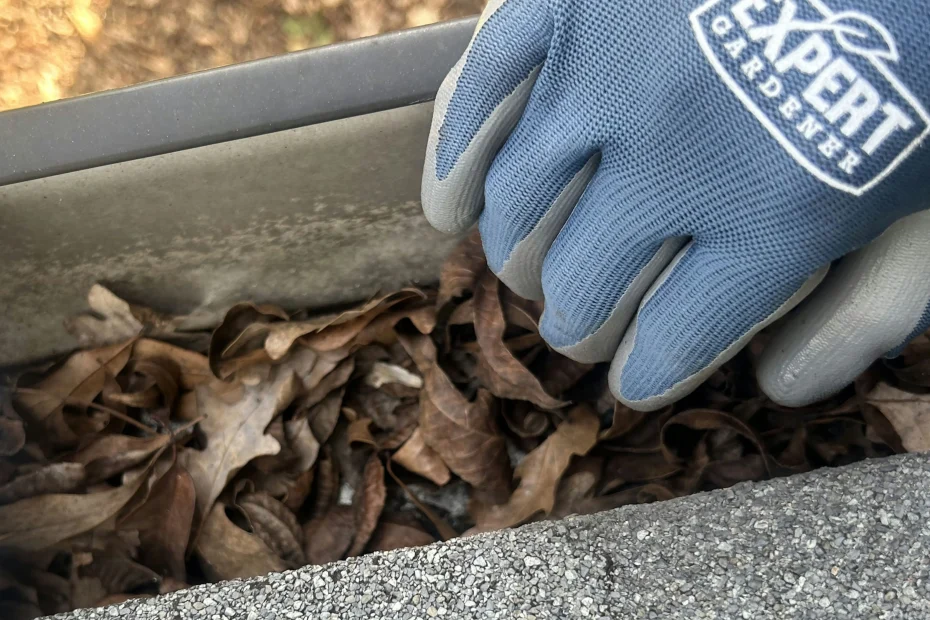 Gutter Cleaning Irmo