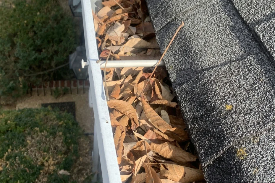 Gutter Cleaning Irmo