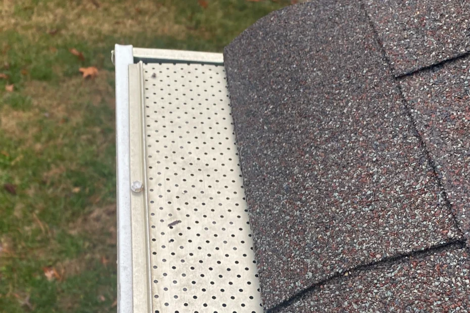 Gutter Cleaning Irmo