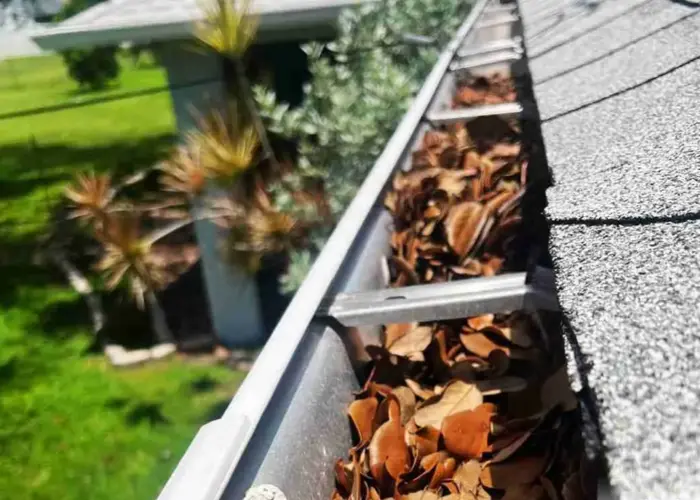 Gutter Cleaning Irmo home page